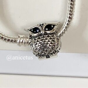 NWOT S925 Sterling Silver Blue CZ Eyes Owl Charm